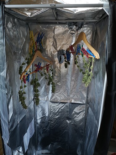 Growreport Bild 3
