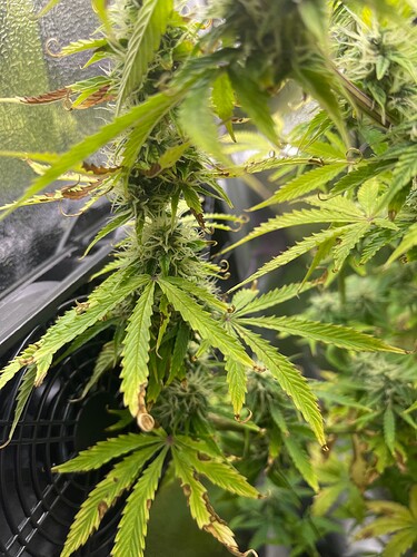 Growreport Bild 2