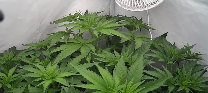 Growreport Bild 12