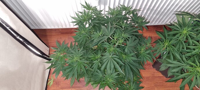 Growreport Bild 26