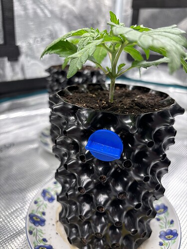 Growreport Bild 110