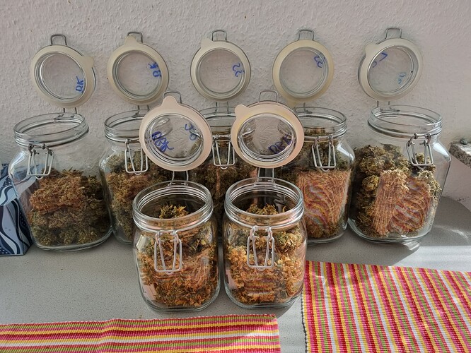 Growreport Bild 19