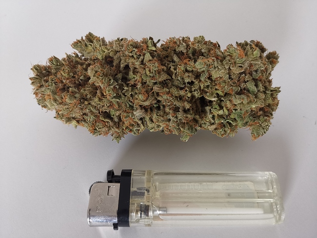 Growreport Bild 3