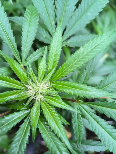 Growreport Bild 11