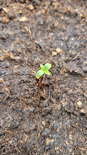 Growreport Bild 120