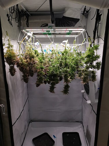 Growreport Bild 4