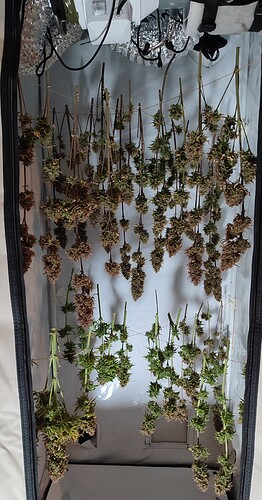 Growreport Bild 5