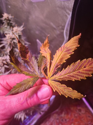 Growreport Bild 48