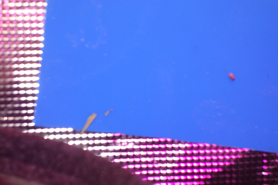 Unscharfes Bild mit blauem Hintergrund und einem Teil eines reflektierenden Rahmens.
