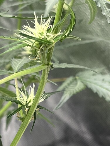 Growreport Bild 19