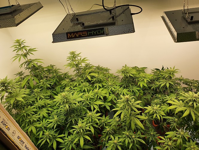 Growreport Bild 2