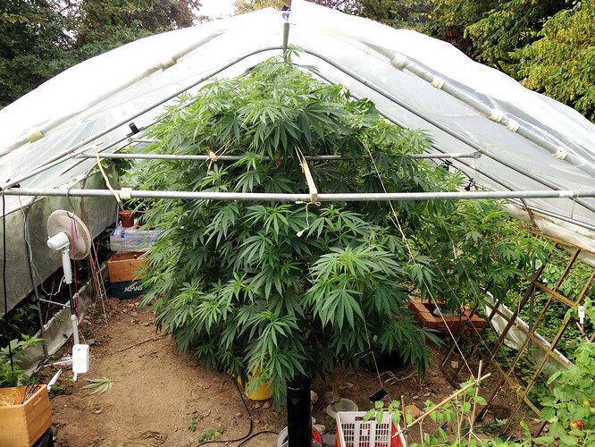 Growreport Bild 17