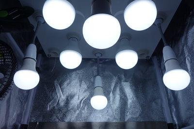Mehrere weiße LED-Lampen sind von unten an einer Decke montiert, die mit reflektierendem Material ausgekleidet ist. Eine kleine Lüftereinheit ist links im Bild zu sehen.
