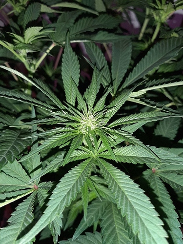 Growreport Bild 22