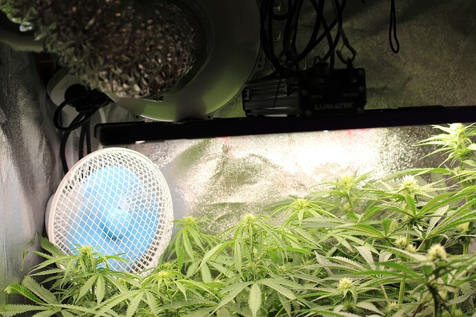 Growreport Bild 3