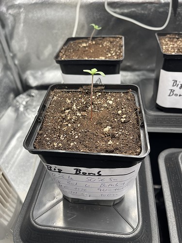 Growreport Bild 26