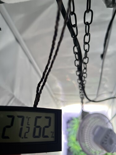Growreport Bild 4