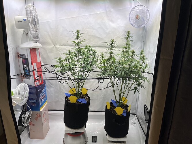 Growreport Bild 18
