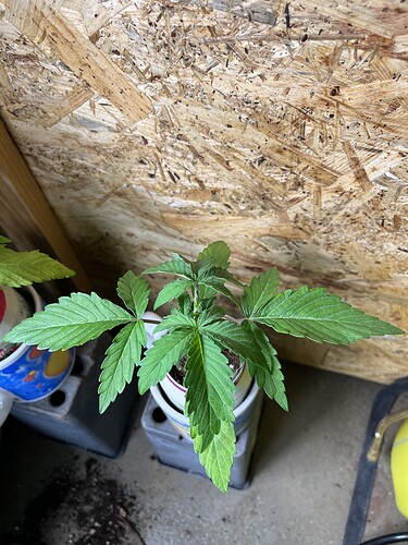Growreport Bild 18