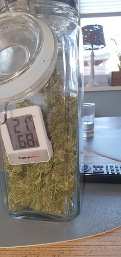 Growreport Bild 23