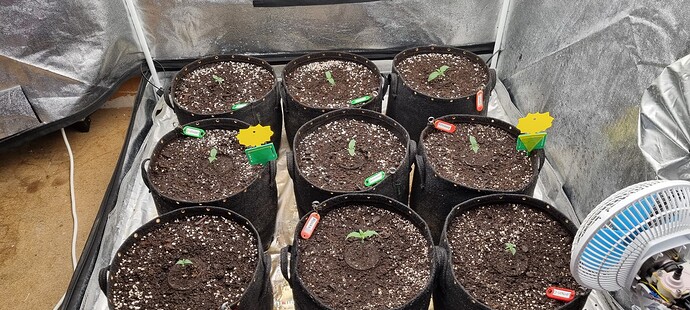 Growreport Bild 24