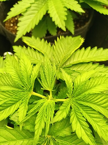 Growreport Bild 14