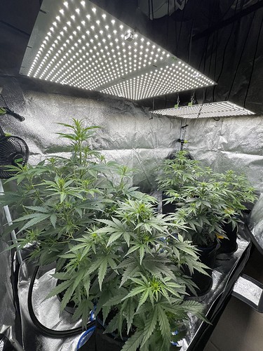 20211022_085815401_iOS