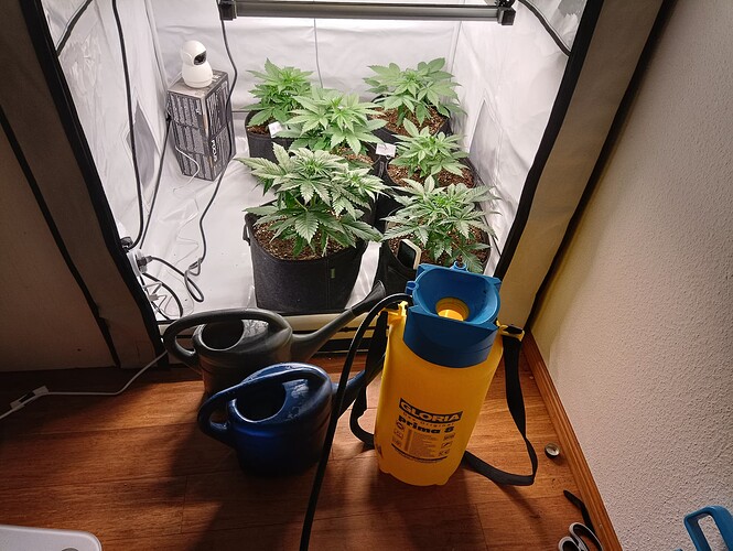 Growreport Bild 3