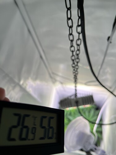Growreport Bild 7