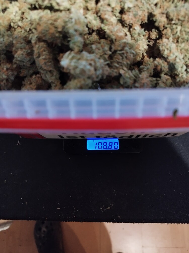 Fruchtige THC Monster von Anesia und Growers Choice:)