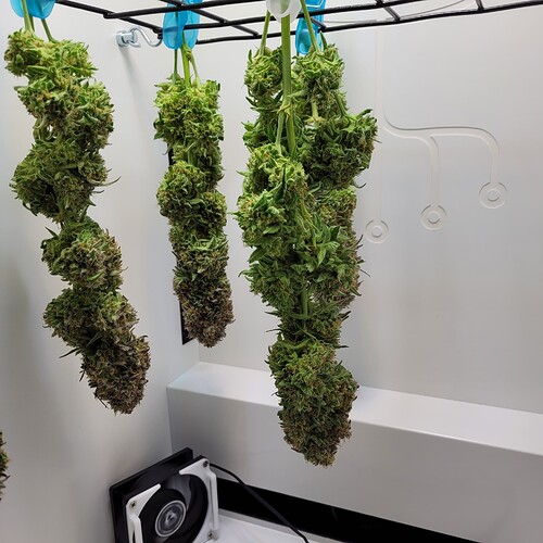 Growreport Bild 9