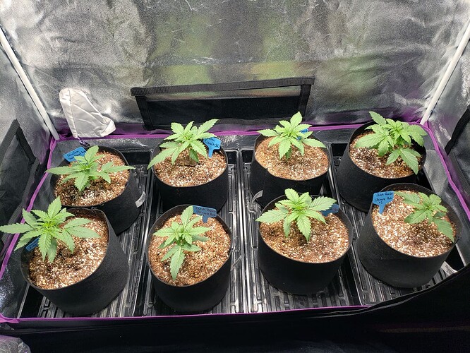 Growreport Bild 14