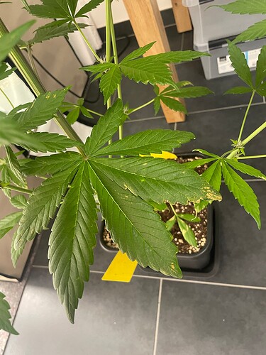 Growreport Bild 25
