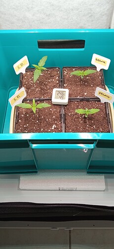 Growreport Bild 2