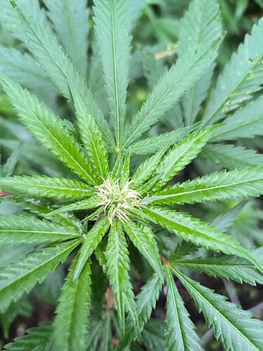Growreport Bild 10