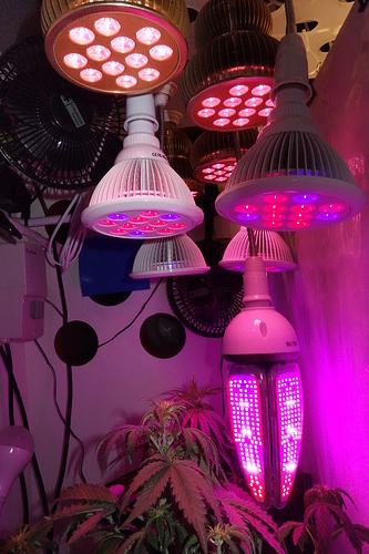 Growreport Bild 16