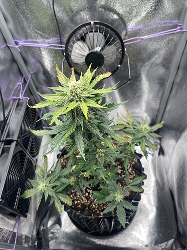 Growreport Bild 7