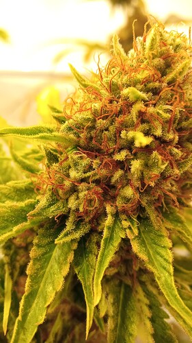 Growreport Bild 21