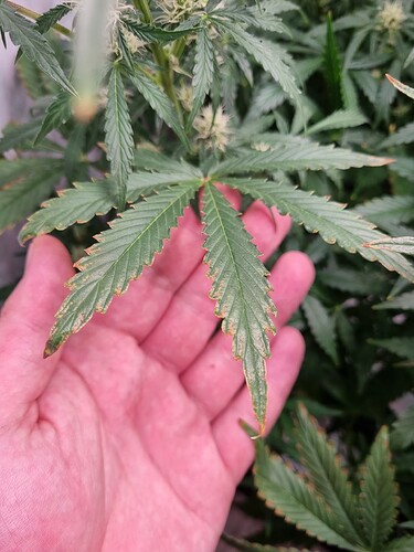 Growreport Bild 9
