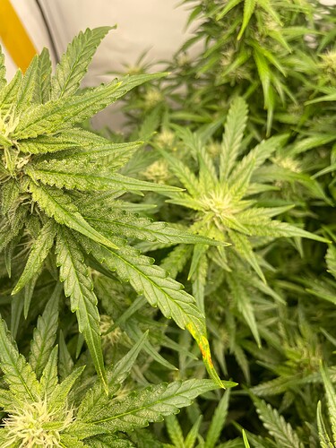 Growreport Bild 2