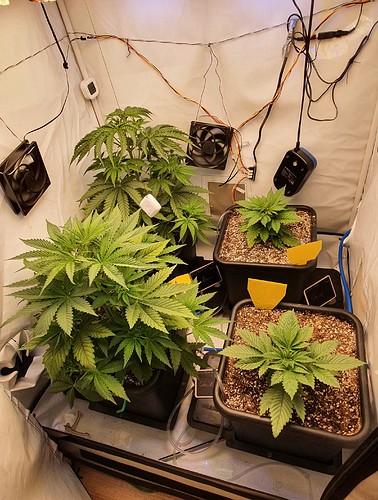 Growreport Bild 11