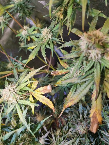 Growreport Bild 9