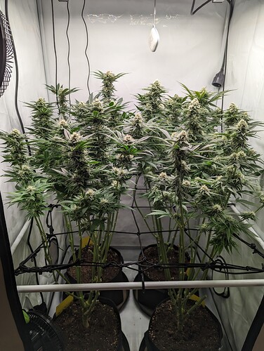 Growreport Bild 10