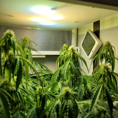 Growreport Bild 2