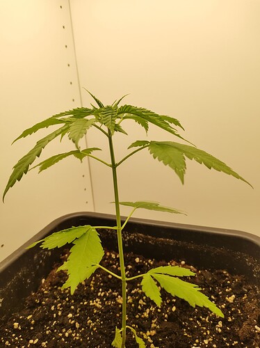 threema-20230727-192439791