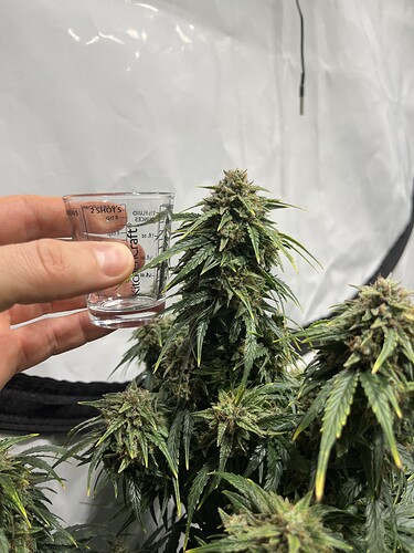 Growreport Bild 3
