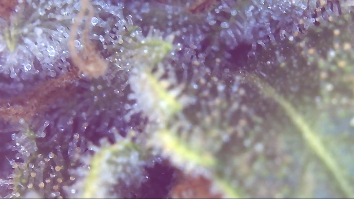 Growreport Bild 10