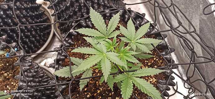 IMG-20230922-WA0027
