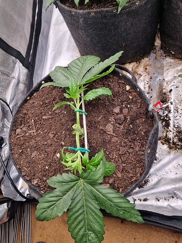Growreport Bild 10