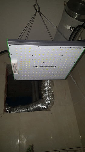 16280261386301900204977